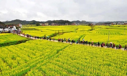 農(nóng)產(chǎn)品配送.jpg