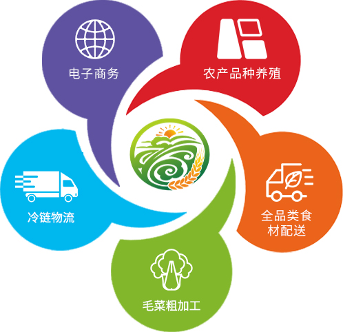 企業(yè)簡(jiǎn)介