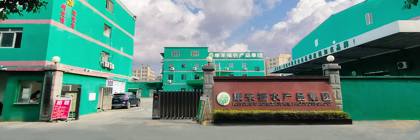 康來福農(nóng)產(chǎn)品集團(tuán)全景圖