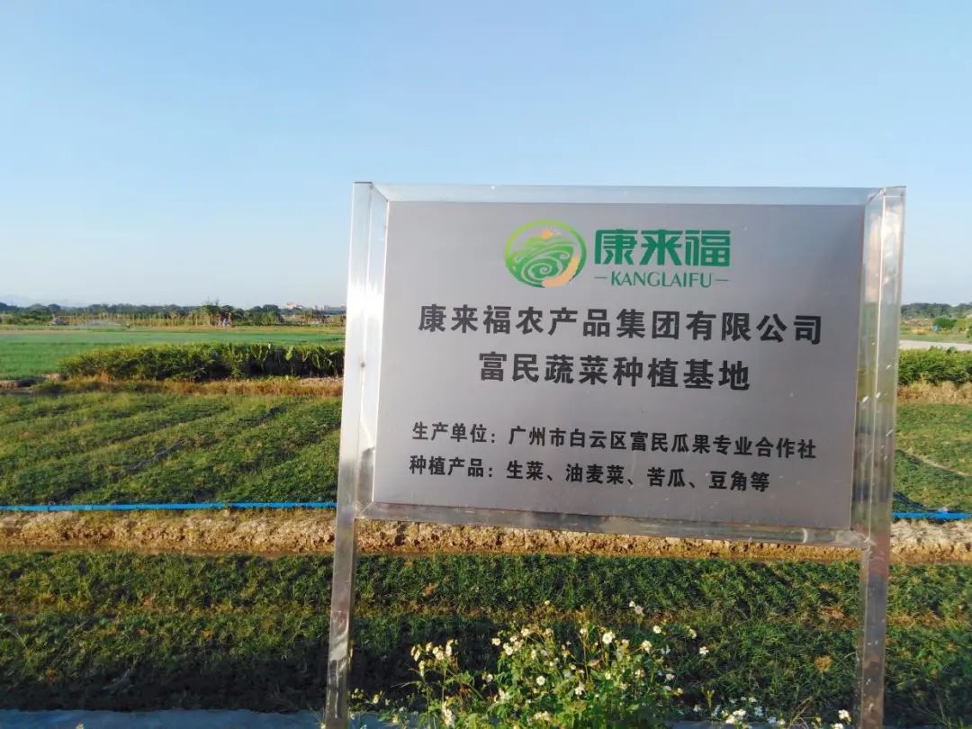 康來福集團蔬菜基地