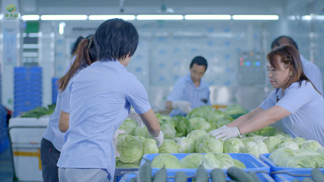  食材配送公司日常經營中常見的問題